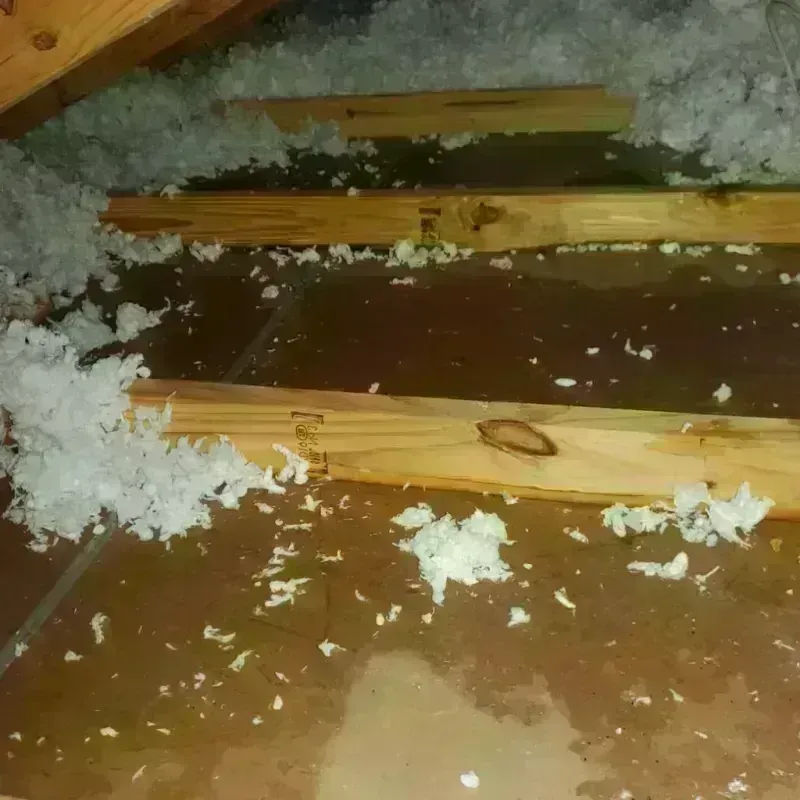 Attic Water Damage in Wilmington, NC