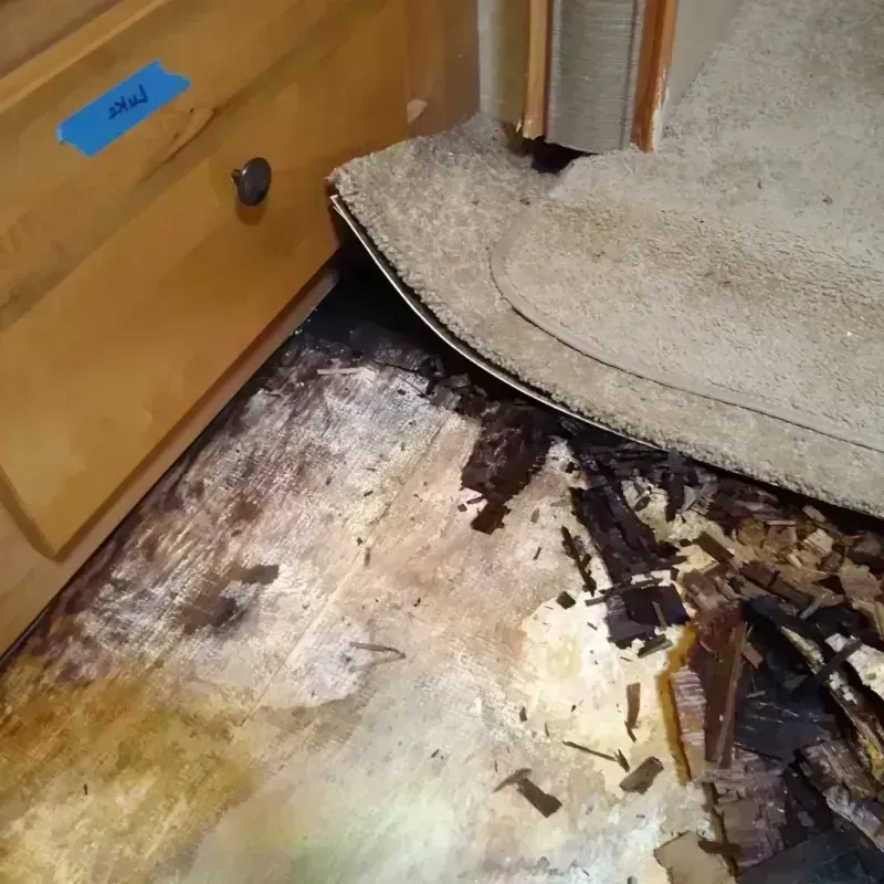 Wood Floor Water Damage in Wilmington, NC